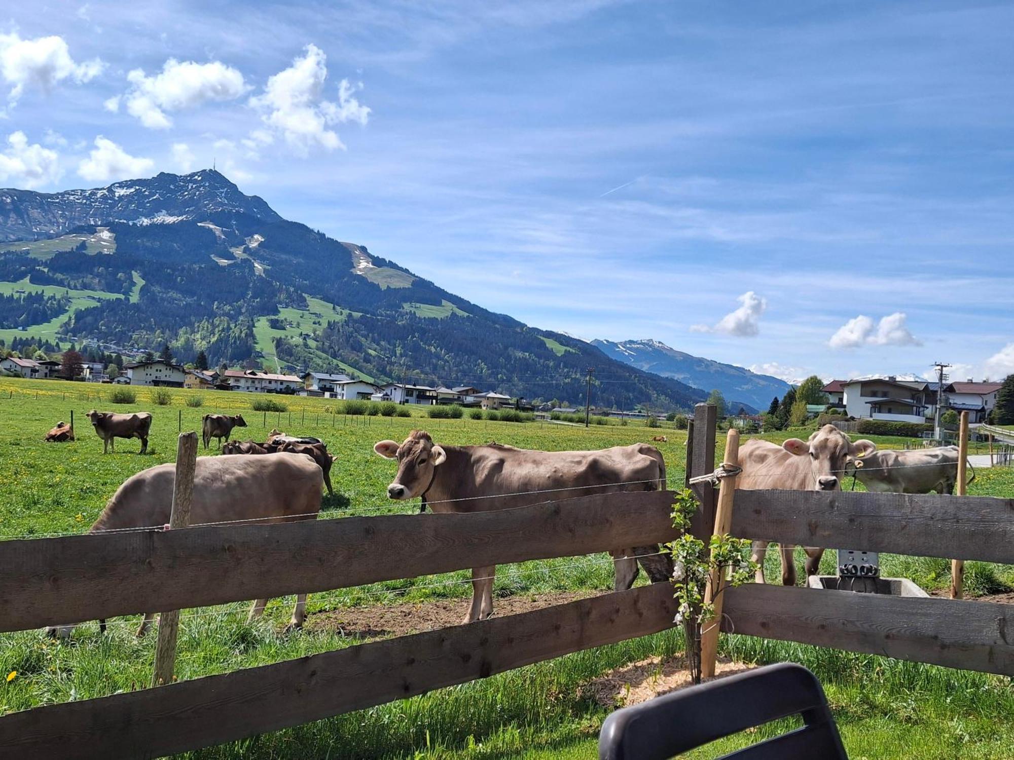Lampererhof Villa Sankt Johann in Tirol Eksteriør bilde