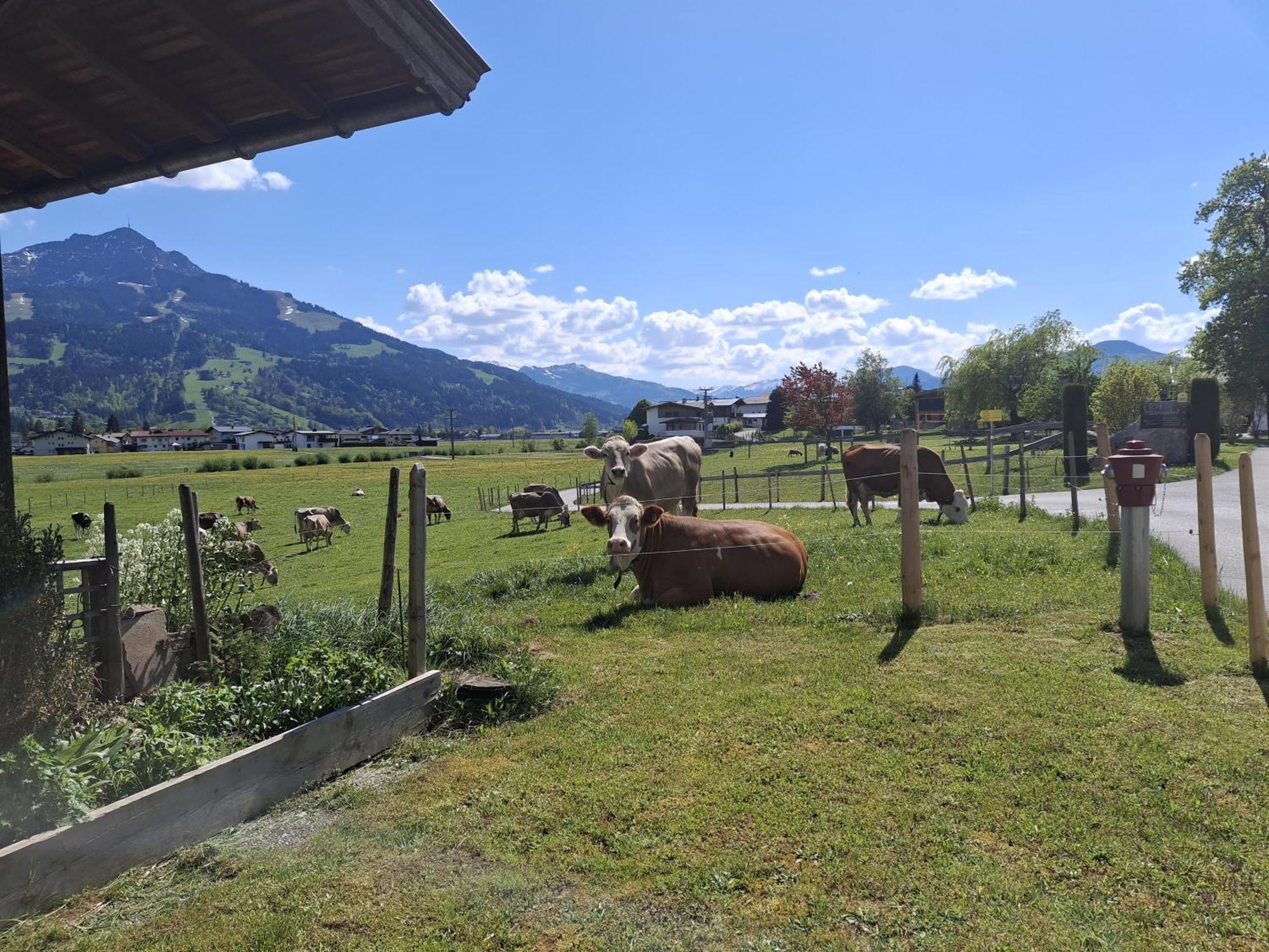 Lampererhof Villa Sankt Johann in Tirol Eksteriør bilde