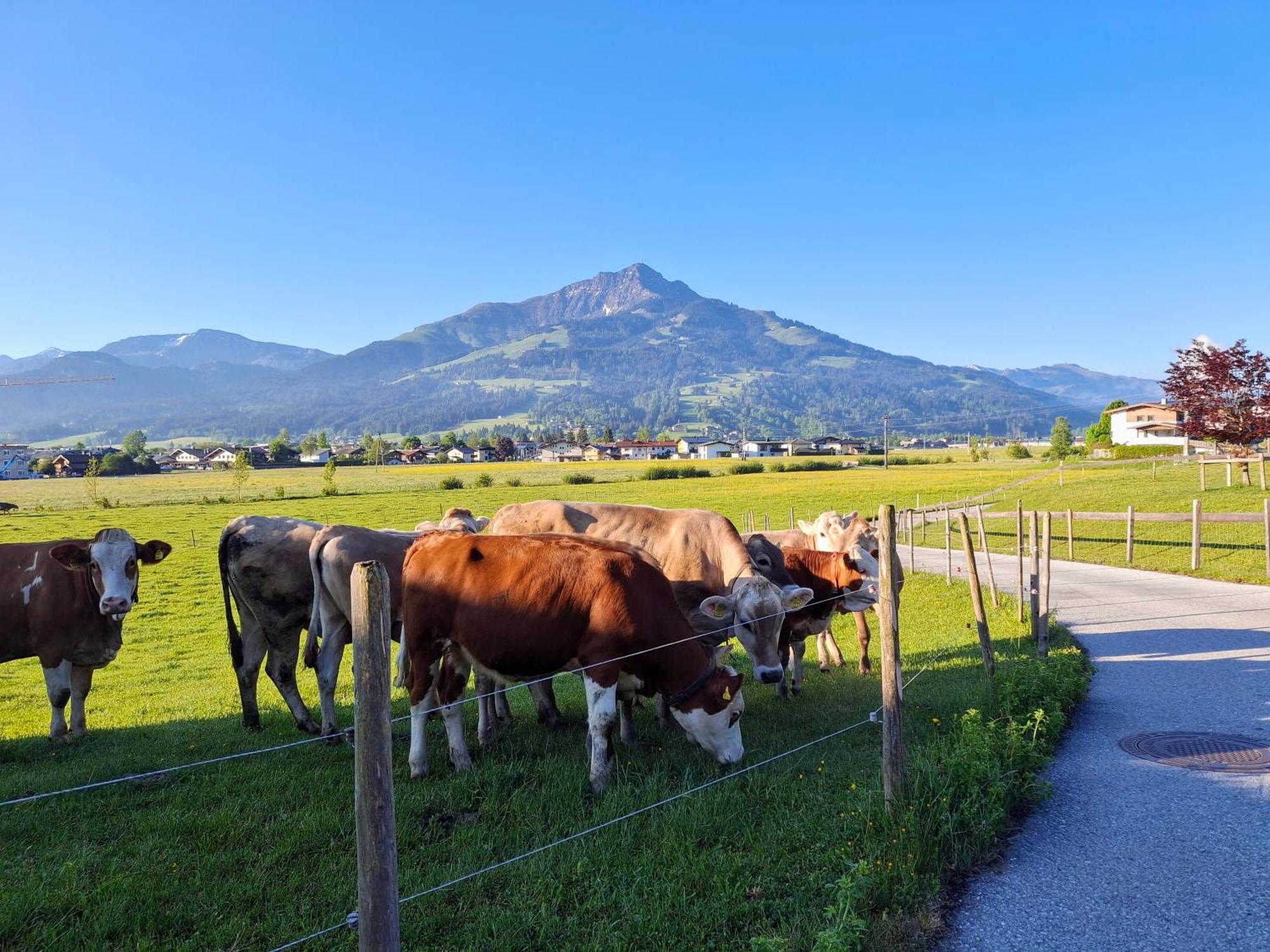 Lampererhof Villa Sankt Johann in Tirol Eksteriør bilde